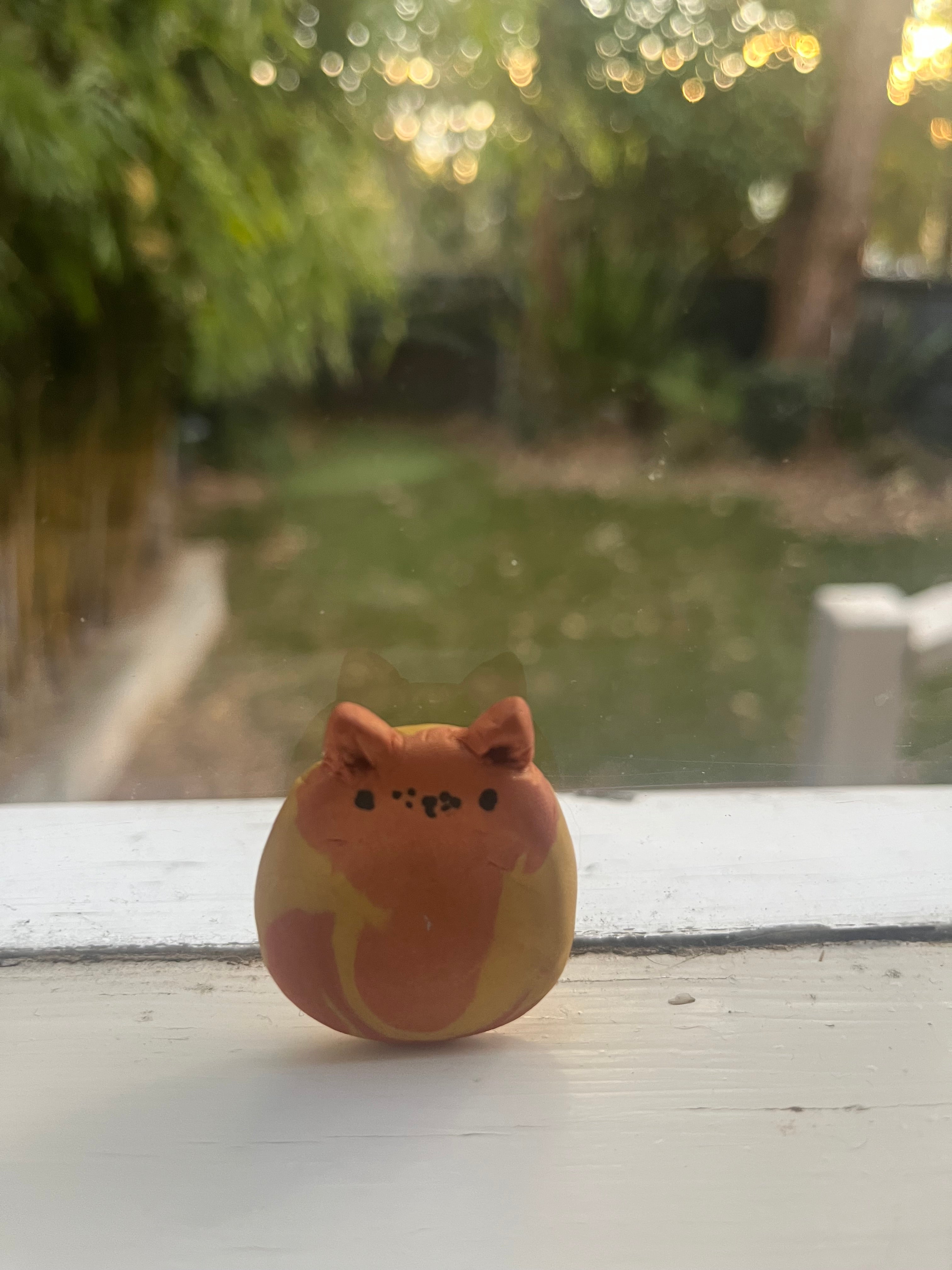 Ginger cat