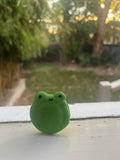 Freddy the frog