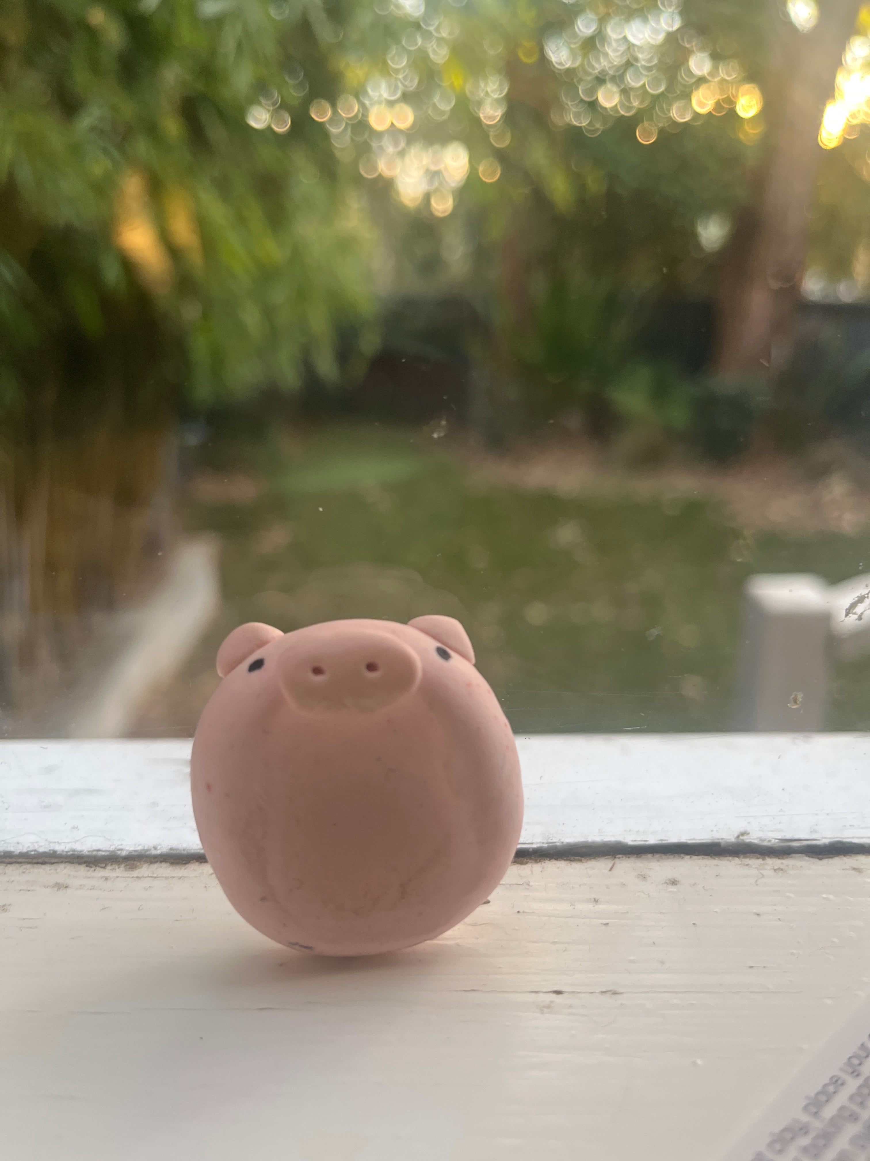 Percy the pig
